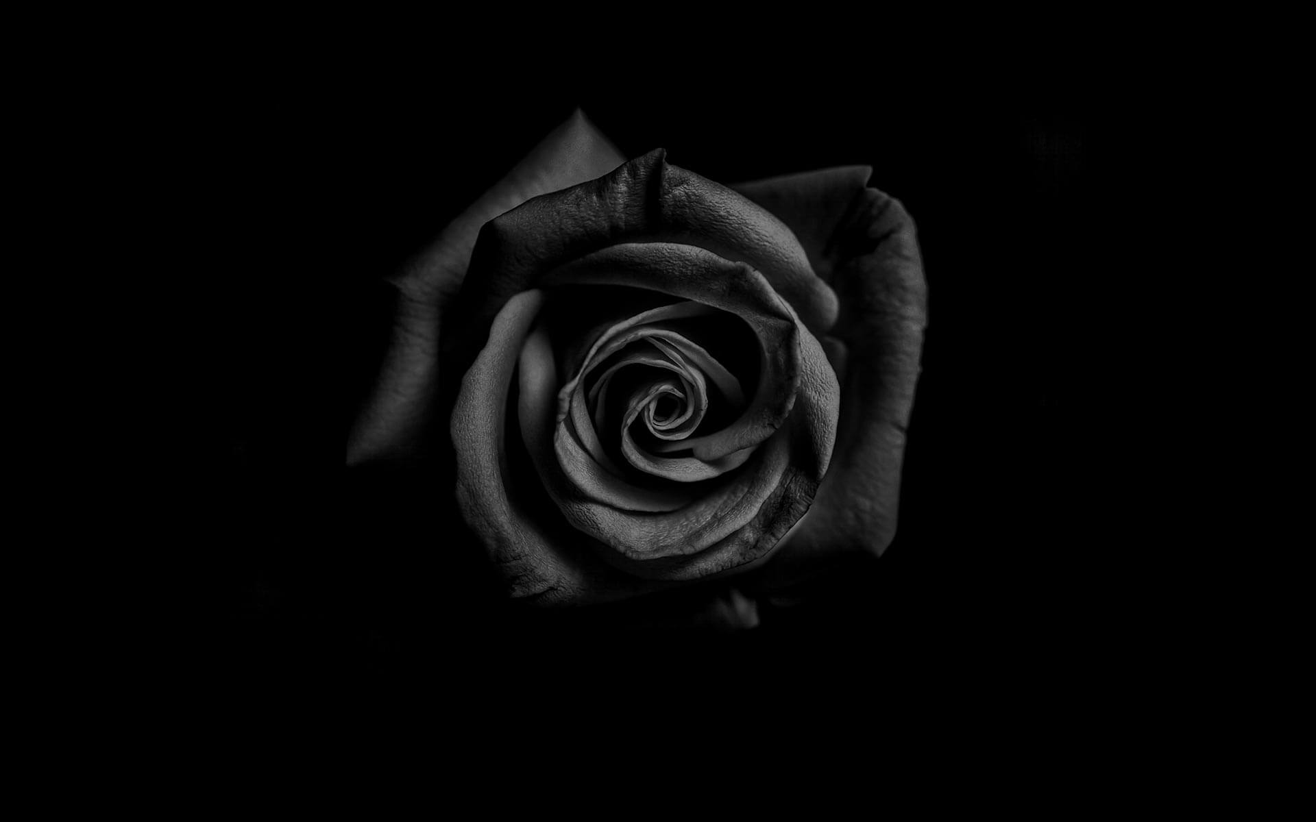 funeralhome-rose-bg